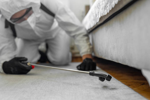 Professional Termite Control technician working in Cranston, RI