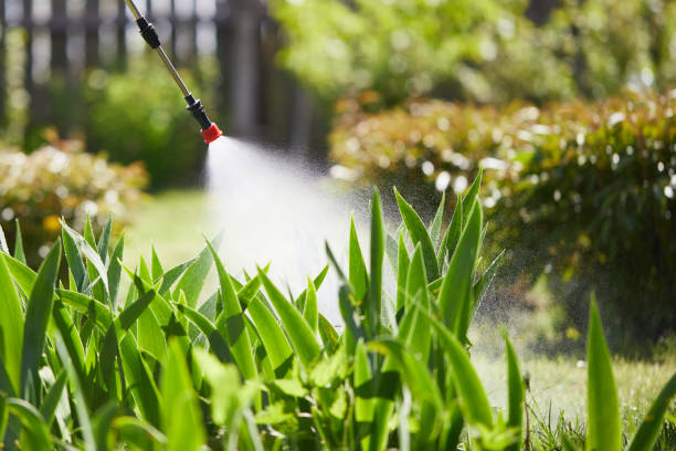 24/7 Emergency Termite Control experts in Cranston, RI